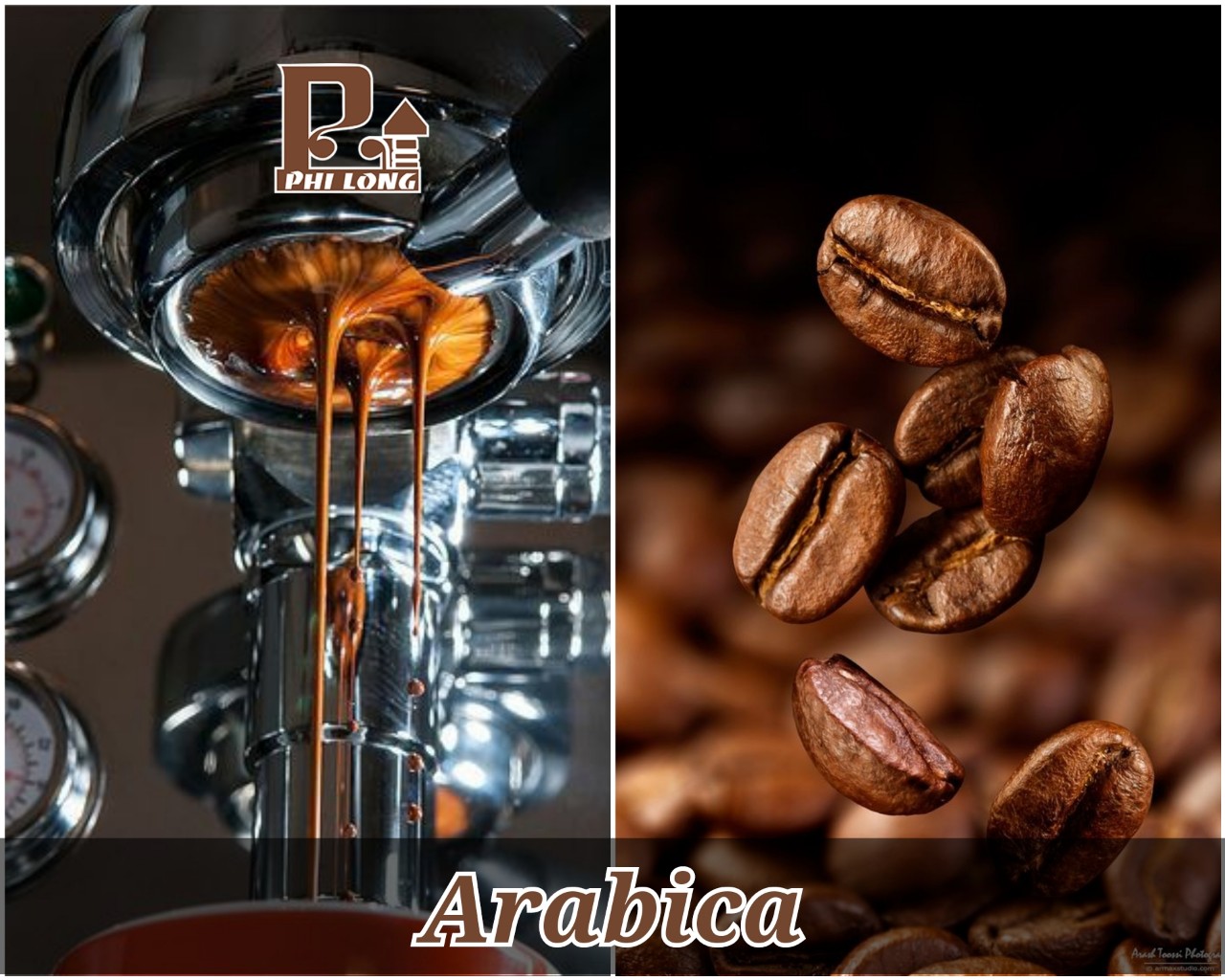 Hạt pha máy Arabica
