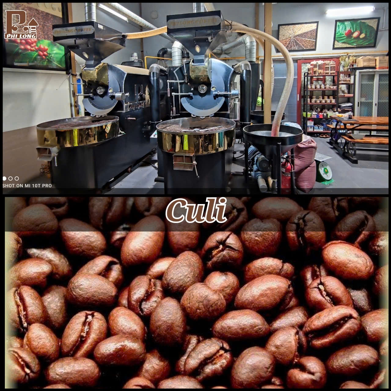 Cà phê hạt Culi 