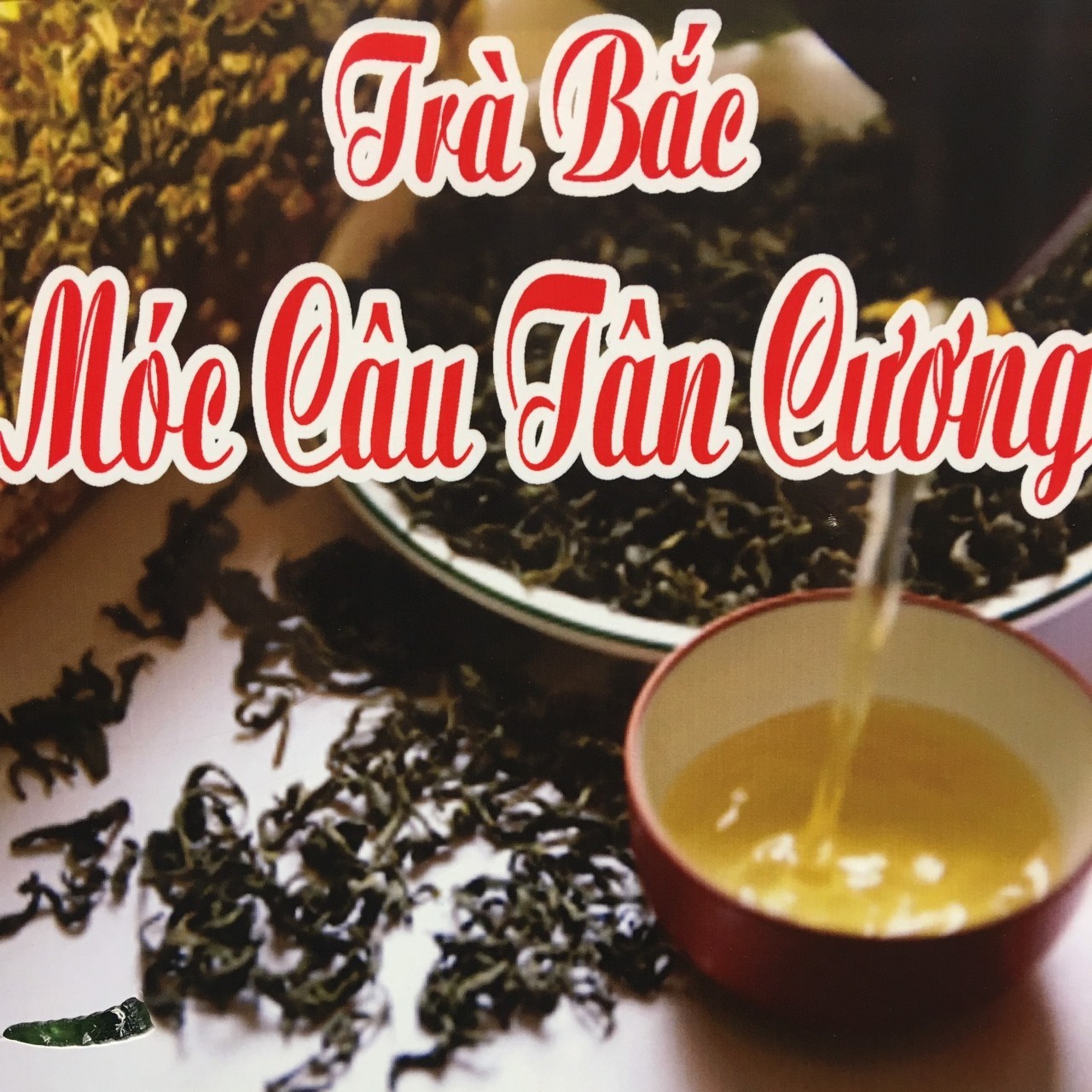 TRÀ BẮC MÓC CÂU TÂN CƯƠNG