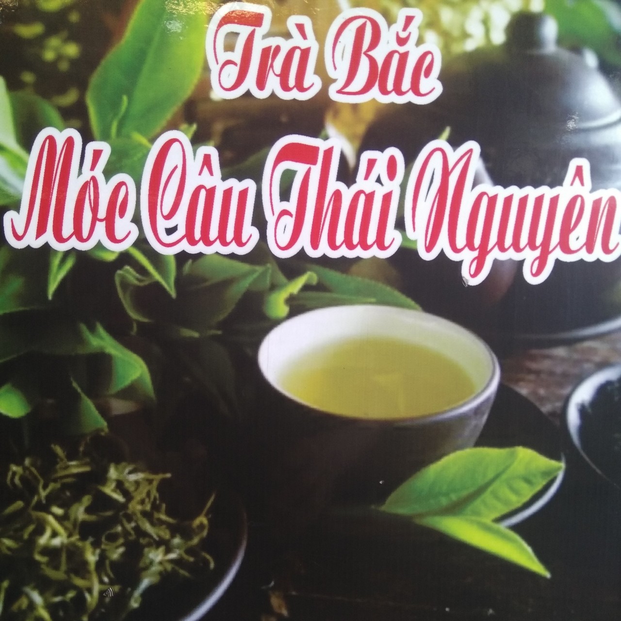 TRÀ BẮC MÓC CÂU THÁI NGUYÊN