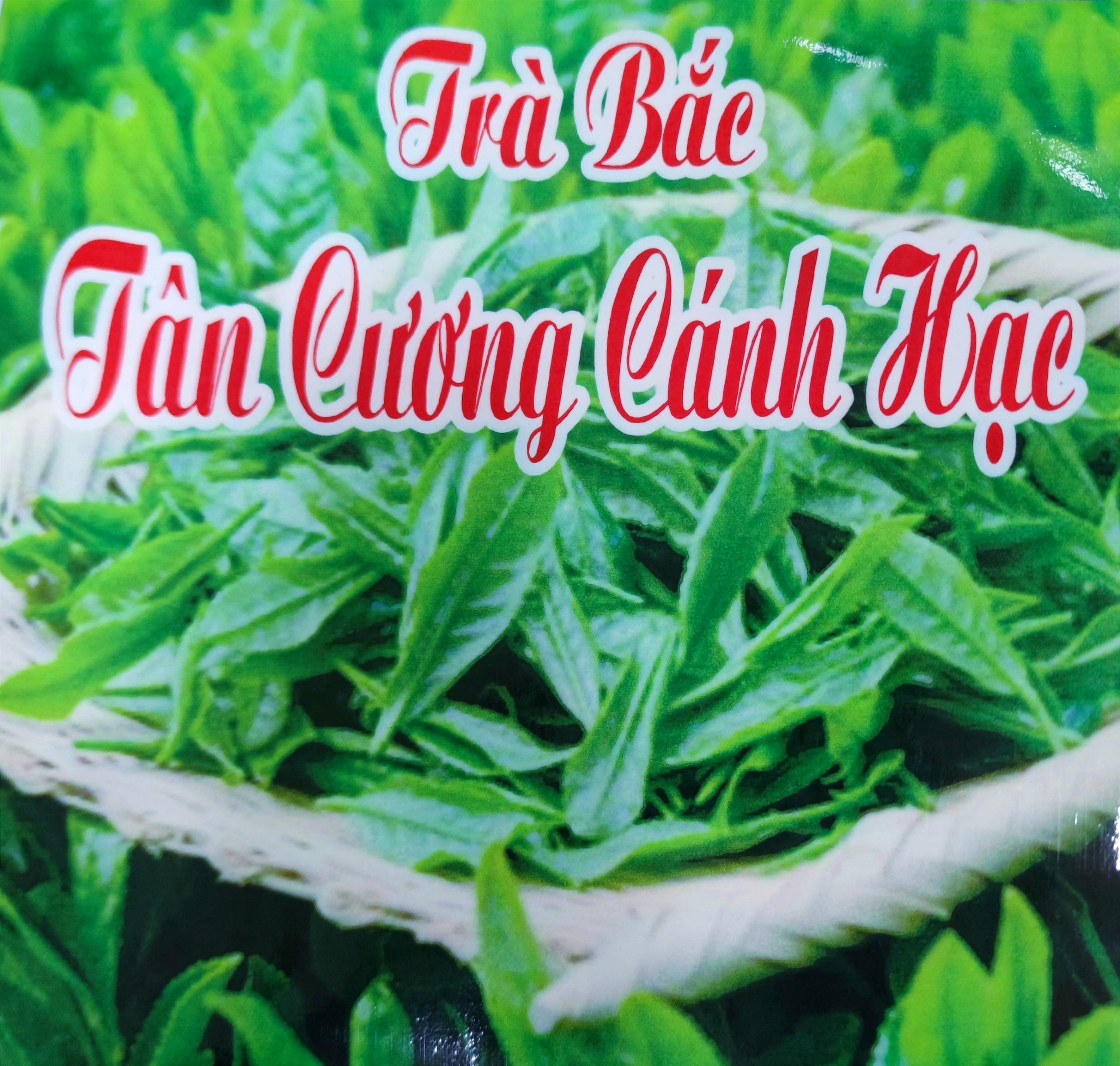 TRÀ BẮC TÂN CƯƠNG CÁNH HẠC