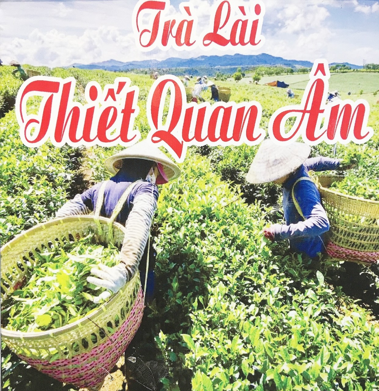 TRÀ LÀI THIẾT QUAN ÂM