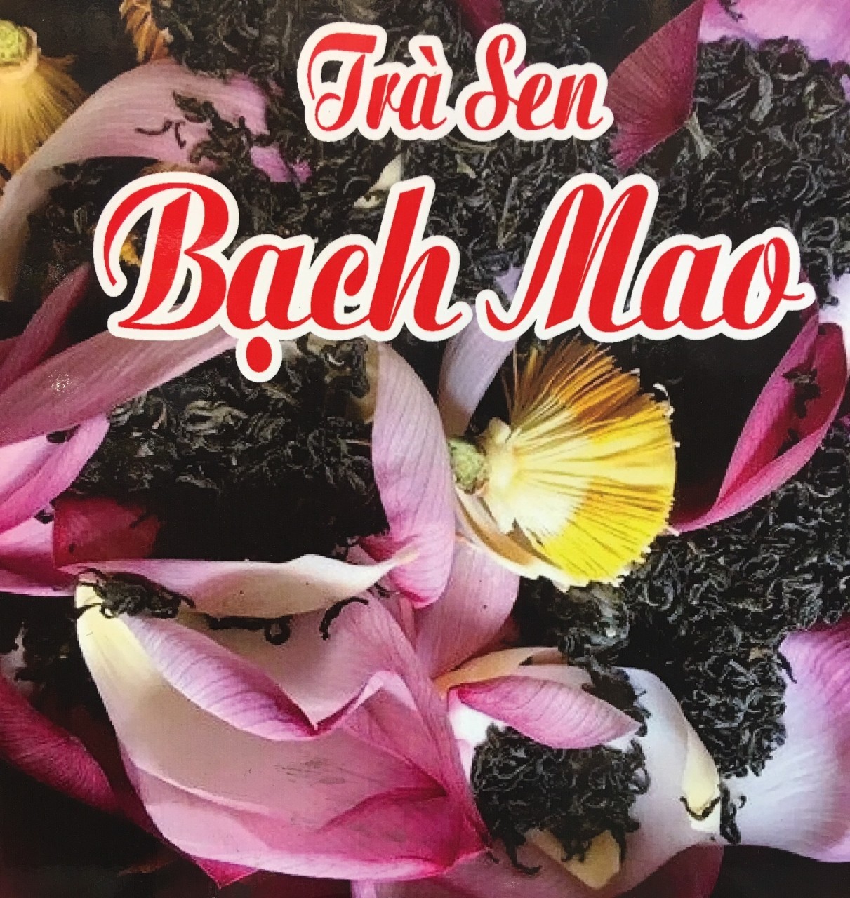 TRÀ SEN BẠCH MAO